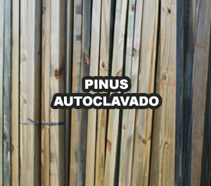 pinus autoclavado madeira